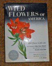 Cover art for Wild Flowers of America: 400 flowers in full color