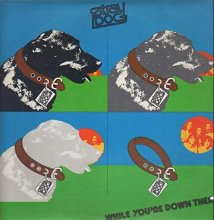 Cover art for While You're Down There - Manticore Records - MA6-501S1