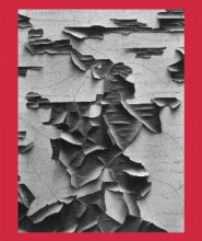 Cover art for Aaron Siskind 100