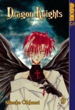 Cover art for Dragon Knights, Vol. 9