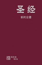 Cover art for Chinese Simplified New Testament (Chinese Edition)