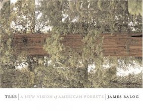 Cover art for Tree: A New Vision of the American Forest