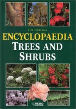 Cover art for Encyclopedia of Trees and Shrubs