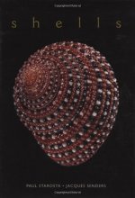 Cover art for Shells