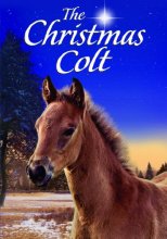 Cover art for The Christmas Colt