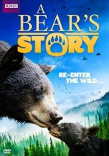Cover art for Bear Story, A: Spirit's Adventure
