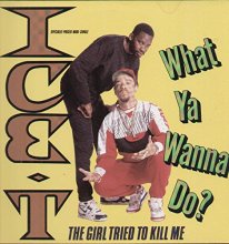 Cover art for What Ya Wanna Do [Vinyl]