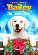 Cover art for Adventures of Bailey - A Night in Cowtown