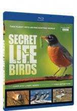 Cover art for Secret Life of Birds - Blu-ray