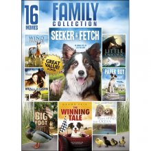 Cover art for 16-Movie Family Value Collection