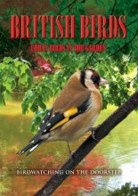 Cover art for British Birds: Urban Birds in the Garden