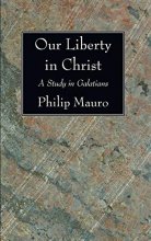 Cover art for Our Liberty in Christ: A Study in Galatians