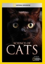 Cover art for Science of Cats