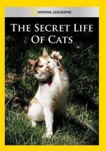 Cover art for The Secret Life of Cats