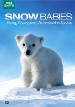Cover art for Snow Babies / Polar Bear: Spy on the Ice