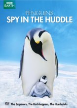Cover art for Penguins: Spy in the Huddle
