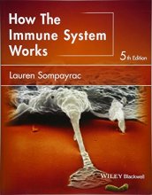 Cover art for How the Immune System Works (The How it Works Series)