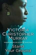 Cover art for Stand Your Ground: A Novel