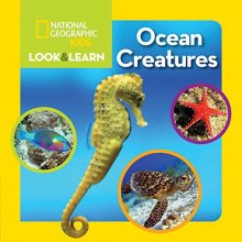 Cover art for National Geographic Kids Look and Learn: Ocean Creatures (Look & Learn)