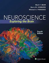 Cover art for Neuroscience: Exploring the Brain, Fourth Edition by Mark F. Bear, Barry W. Connors, Michael A. Paradiso (2015) Hardcover