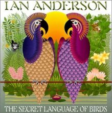 Cover art for Secret Language of Birds