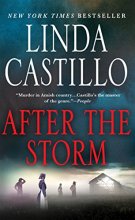 Cover art for After the Storm: A Kate Burkholder Novel (Kate Burkholder, 7)