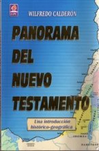 Cover art for Panorama Del Nuevo Testamento (una introduccion historica-geografica)