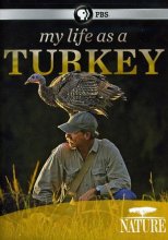 Cover art for Nature: My Life as a Turkey
