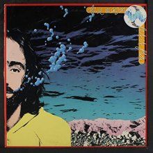 Cover art for let it flow LP