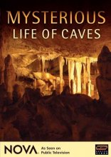 Cover art for Mysterious Life of Caves - NOVA