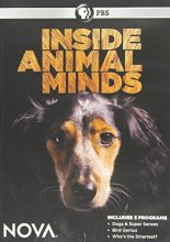Cover art for Nova: Inside Animal Minds