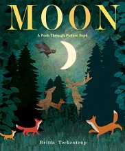 Cover art for Moon: A Peek-Through Picture Book