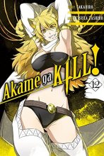 Cover art for Akame ga KILL!, Vol. 12 (Akame ga KILL!, 12)