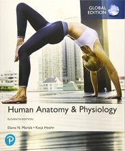 Cover art for Human Anatomy Physiology, Global Edition