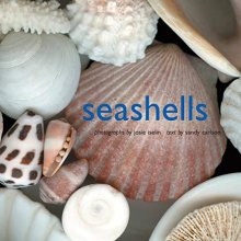 Cover art for Seashells