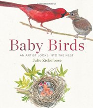 Cover art for Baby Birds: An Artist Looks into the Nest