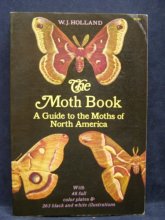 Cover art for The Moth Book: A Guide to the Moths of North America