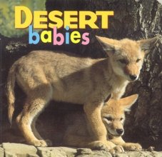 Cover art for Desert Babies (Animal Babies)