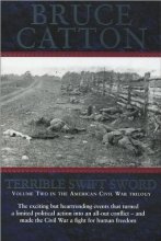 Cover art for Terrible Swift Sword (Volume Two in the American Civil War Trilogy)