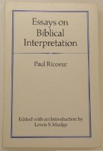 Cover art for Essays on Biblical Interpretation (English and French Edition)