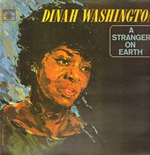 Cover art for A Stranger on Earth