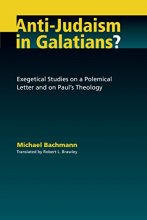 Cover art for Anti-Judaism in Galatians?: Exegetical Studies on a Polemical Letter and on Paul's Theology