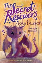 Cover art for The Storm Dragon (1) (The Secret Rescuers)