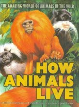 Cover art for How Animals Live: Amazing World of Animals in the Wild, The