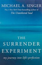 Cover art for Surrender Experiment