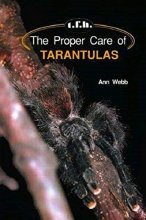 Cover art for The Proper Care of Tarantulas