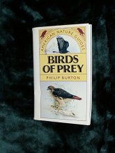 Cover art for Birds of Prey (American Nature Guides)