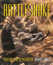 Cover art for Rattlesnake - Portrait of a Predator