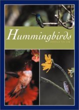 Cover art for Hummingbirds: Jewels of Air