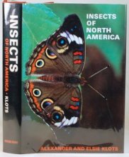 Cover art for Insects of North America